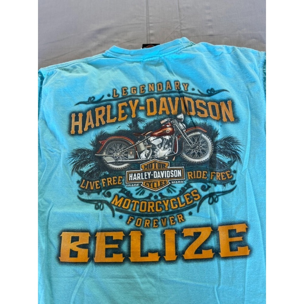 HARLEY DAVIDSON T Shirt Medium Cut Off Belize‎ Pan Handle Bike Blue